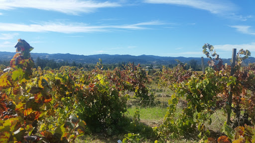 Winery «Christopher Creek Winery», reviews and photos, 641 Limerick Ln, Healdsburg, CA 95448, USA