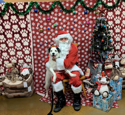 Pet Supply Store «PetSmart», reviews and photos, 6050 Peachtree Pkwy, Norcross, GA 30092, USA