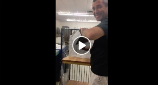 Commercial Printer «Highlight Printing», reviews and photos, 3839 N Washington Ave, Minneapolis, MN 55412, USA