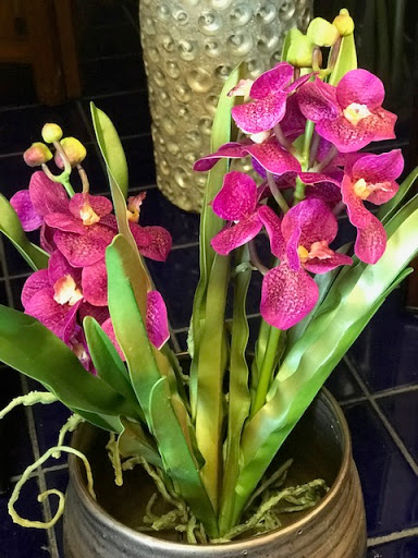 Florist «Flower City Florist», reviews and photos, 917 N Federal Hwy, Fort Lauderdale, FL 33304, USA