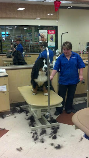 Pet Supply Store «PetSmart», reviews and photos, 1300 John F Kennedy Rd, Dubuque, IA 52002, USA