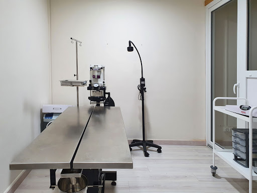 Ca La Veterinaria en Girona