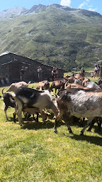 Photo n°120 de Restaurant Chez Pépé Nicolas, Val Thorens à val thorens ()
