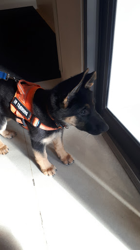 Brack Animal Hospital image