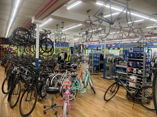 Bicycle Store «Quad Cycles», reviews and photos, 1043 Massachusetts Ave, Arlington, MA 02476, USA