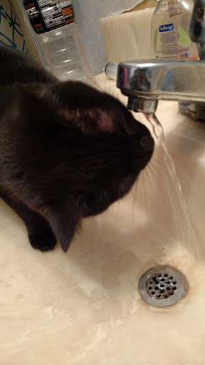 Grocery Store «Kroger», reviews and photos, 4400 Brownsville Rd, Powder Springs, GA 30127, USA