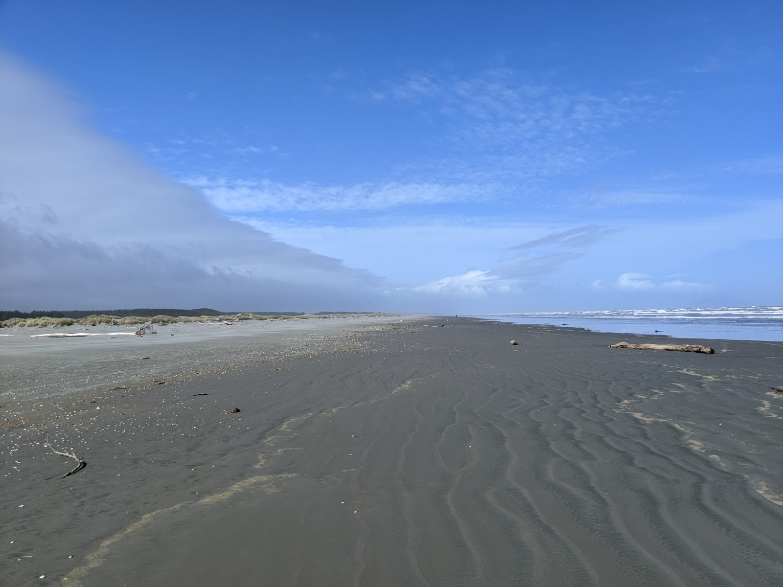 Foto di Waikawa Beach con una superficie del sabbia grigia