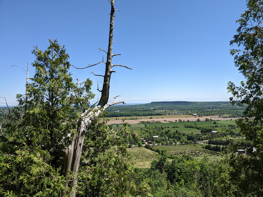 Rattlesnake Point Conservation Area (Reservations Required)