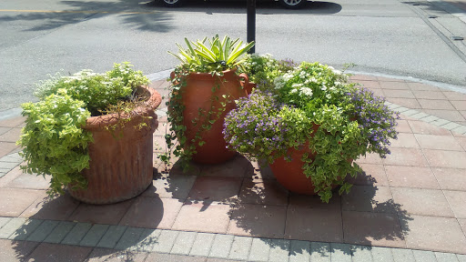 Coffee Shop «Starbucks», reviews and photos, 796 5th Ave S, Naples, FL 34102, USA