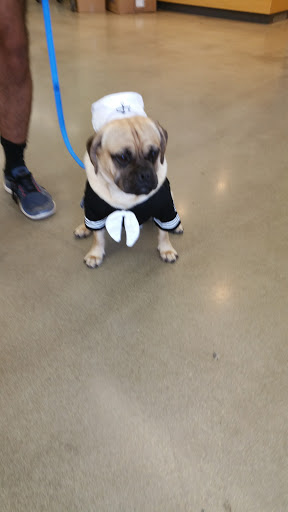 Pet Supply Store «Petco Animal Supplies», reviews and photos, 1011 University Blvd #100, Suffolk, VA 23435, USA