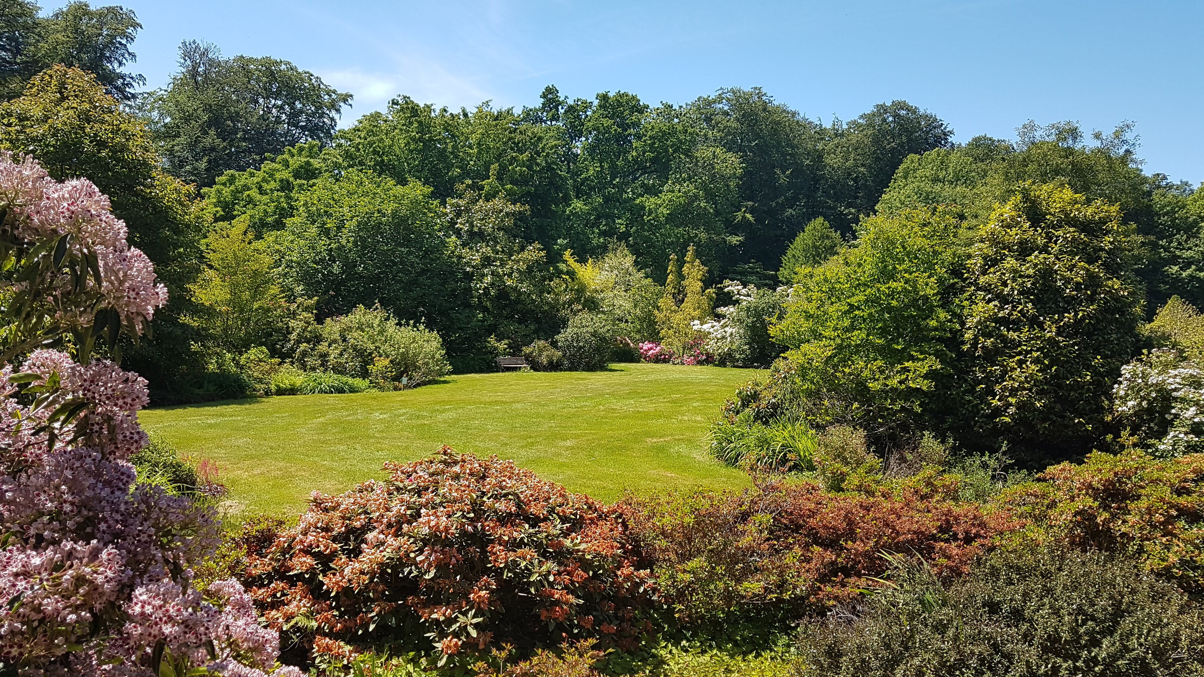 Photo n° 16 de l'avis de Daniel.r fait le 29/05/2020 à 14:41