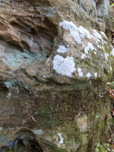 Nature Preserve «Jug Rock Nature Preserve», reviews and photos, Albright Ln, Shoals, IN 47581, USA