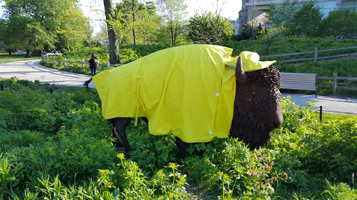 Museum «Peggy Notebaert Nature Museum», reviews and photos, 2430 N Cannon Dr, Chicago, IL 60614, USA