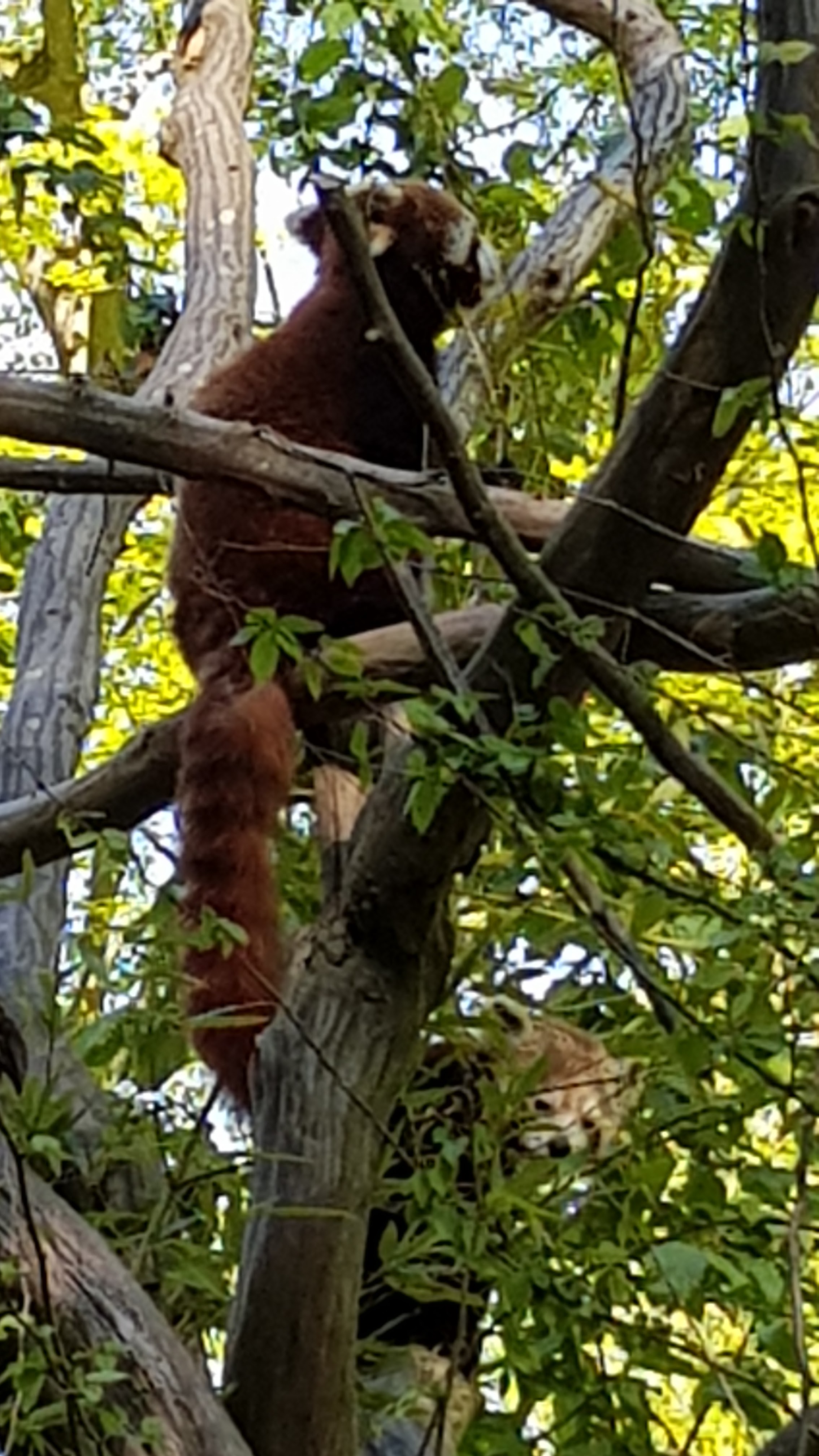 Photo n° 16 de l'avis de Tirlipinpon.u fait le 12/05/2019 à 18:48