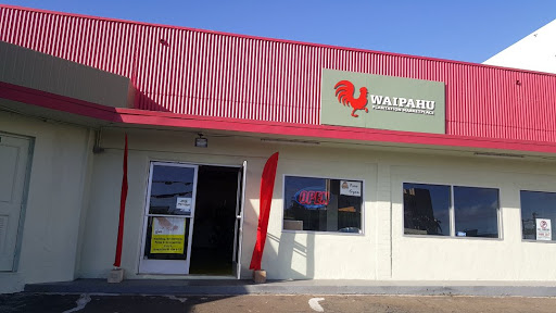 Explore cute finger tattoo ideas, creative tattoo ideas in Waipahu, available at METALink Piercings Hawaii
