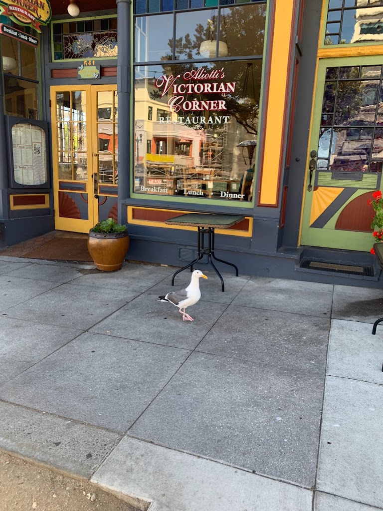 Aliotti's Victorian Corner Restaurant 93950