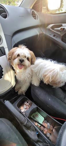 Pet Supply Store «PetSmart», reviews and photos, 4550 W Lake Mary Blvd, Lake Mary, FL 32746, USA