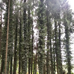 Photo n°14 de l'avis de maria.r fait le 02/10/2021 à 11:54 sur le  Il Piccolo Paradiso à Rocca Priora