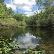 Davenport Landing Trailhead, Ocala National Forest