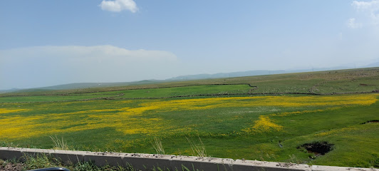 Karayazı Belediye