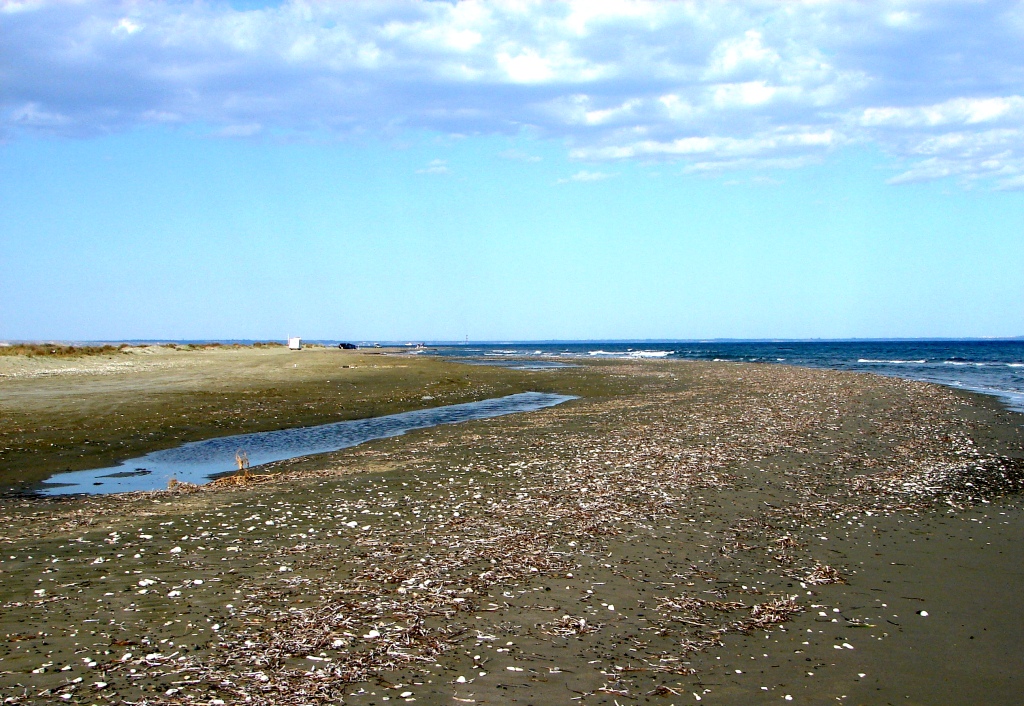 Foto av Larnaka beach med medium nivå av renlighet