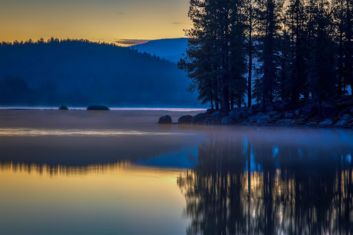 Photo of Roger the Plumber