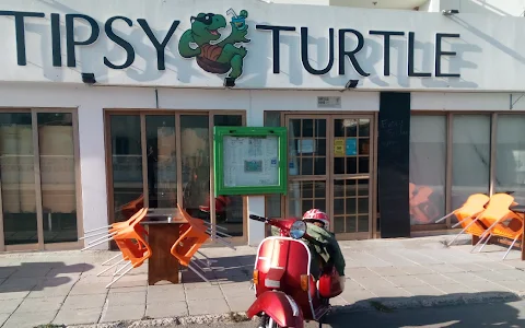 Tipsy Turtle image