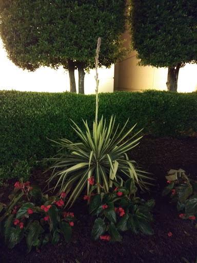 Hotel «Horseshoe Tunica Hotel & Casino», reviews and photos, 1021 Casino Center Dr, Robinsonville, MS 38664, USA