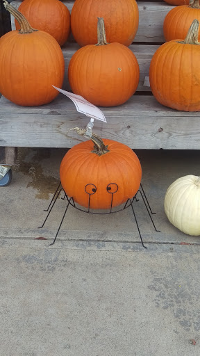 Grocery Store «The Fresh Market», reviews and photos, 1500 Peachtree Industrial Blvd, Suwanee, GA 30024, USA