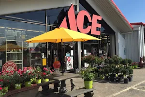 Ferguson Ace Hardware image