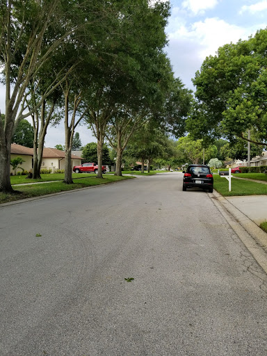 Golf Course «Countryside Country Club», reviews and photos, 3001 Countryside Blvd, Clearwater, FL 33761, USA