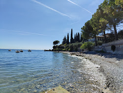 Benella Beach'in fotoğrafı vahşi alan
