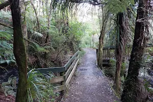 Totara Park image
