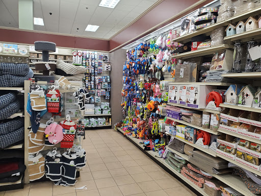 Home Goods Store «Christmas Tree Shops», reviews and photos, 2925 Festival Way, Waldorf, MD 20601, USA