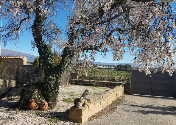 Extérieur Casa de camp La Era en Guara 22122 Ibieca