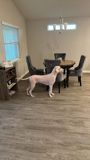 Pet Supply Store «PetSmart», reviews and photos, 919 Lakeland Park Center Dr Unit 380, Lakeland, FL 33809, USA