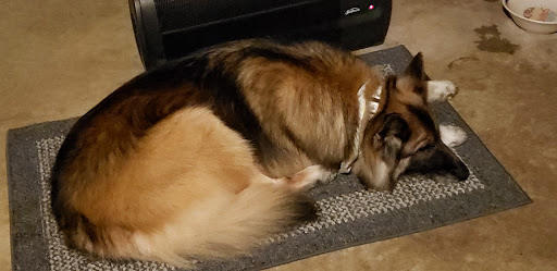 Pet Supply Store «Pet Supplies Plus», reviews and photos, 445 Atlantic City Blvd, Bayville, NJ 08721, USA