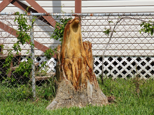 Tree Sculptures Galveston, Tx