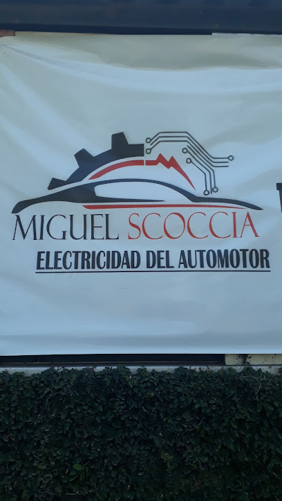 ELECTRICISTA AUTOMOTOR de Miguel Scoccia