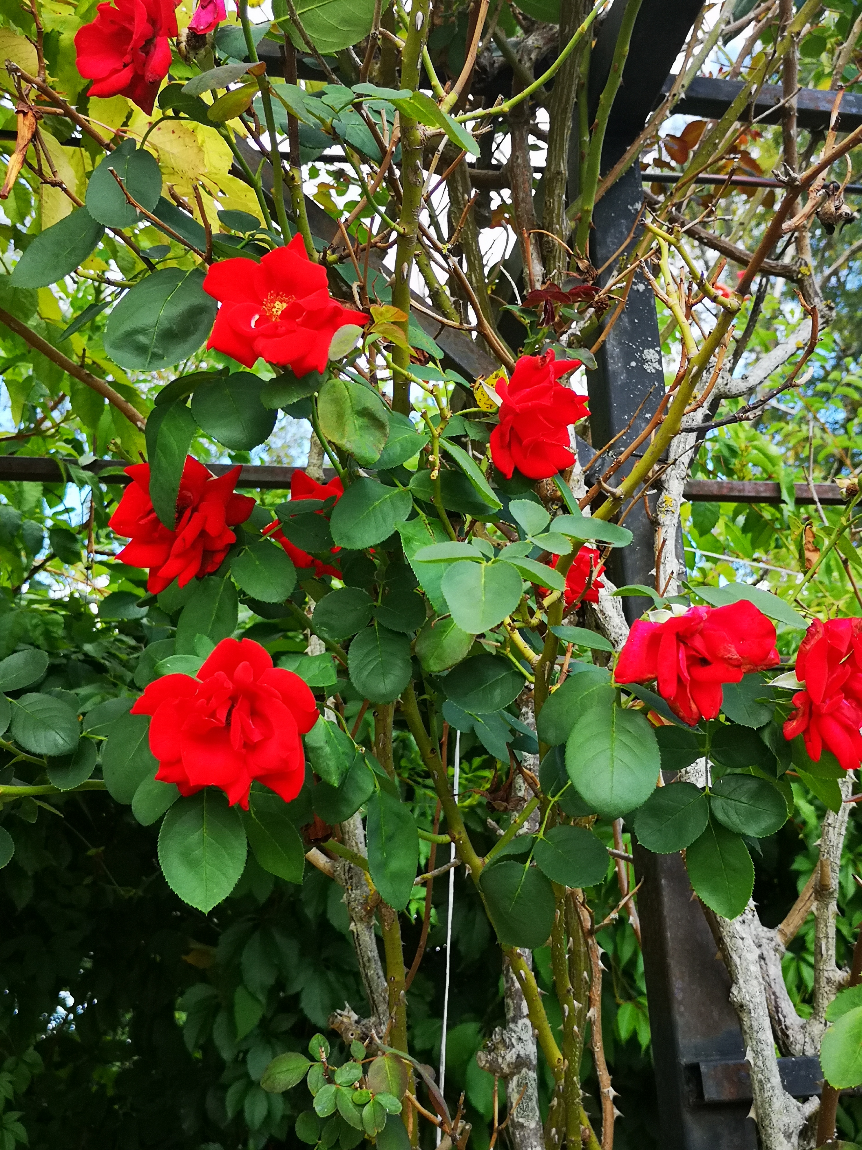 Photo n° 4 de l'avis de Mallory.e fait le 24/08/2020 à 06:08