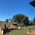 Photo n°8 de l'avis de Stefano.a fait le 26/04/2022 à 07:33 sur le  Fattoria Di Colleoli à Palaia