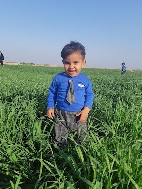 بني مشرف