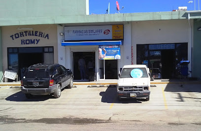 Farmacias Similares, , Los Valles