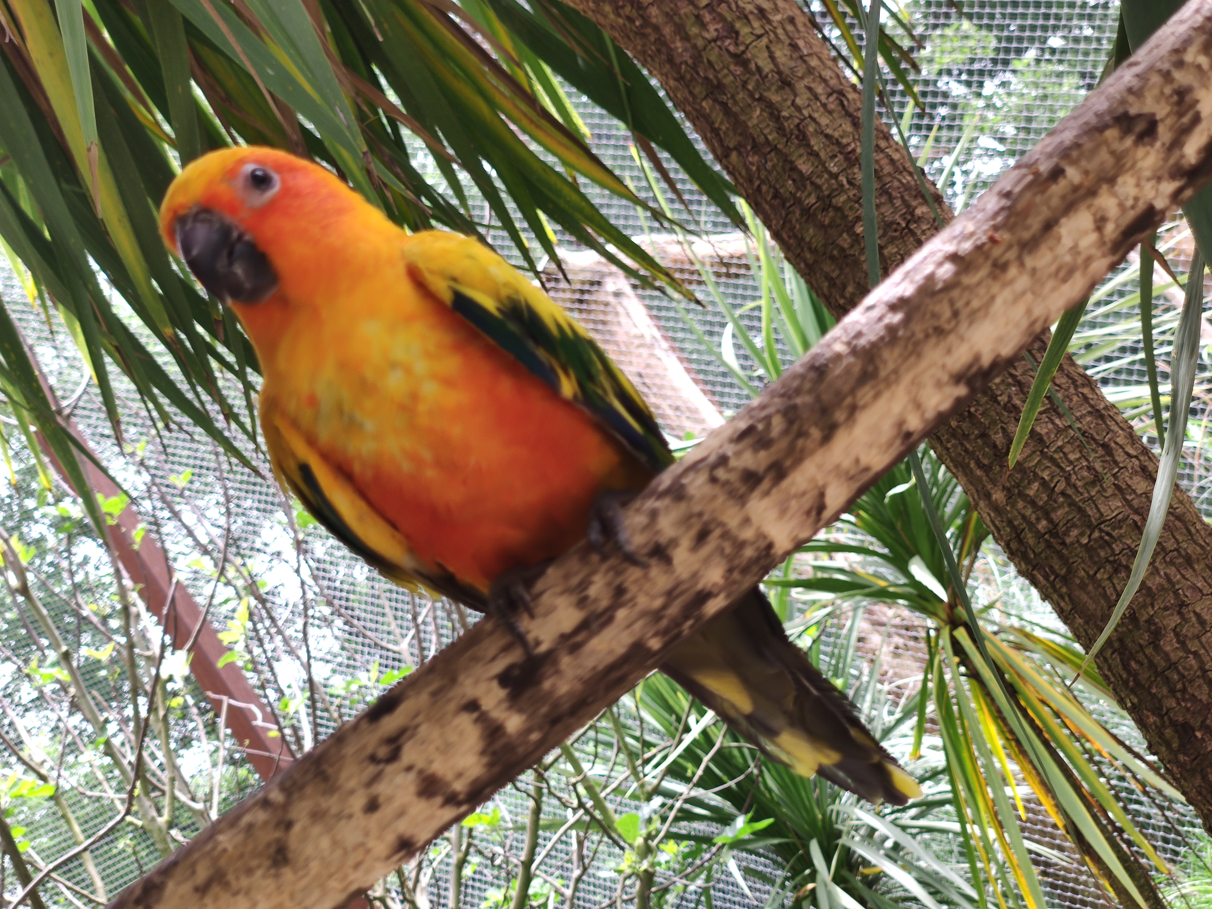 Photo n° 6 de l'avis de Yann.a fait le 29/07/2023 à 09:41