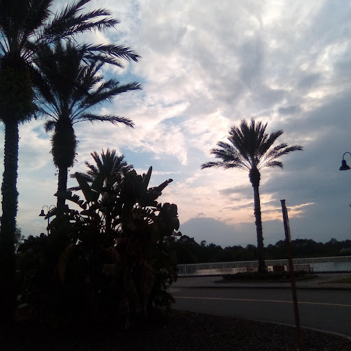 Movie Theater «Regal Cinemas Pavilion 14 & RPX», reviews and photos, 5547 S Williamson Blvd, Port Orange, FL 32128, USA