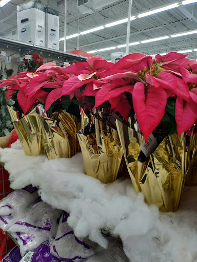 Craft Store «Michaels», reviews and photos, 2100 Snelling Ave, Roseville, MN 55113, USA