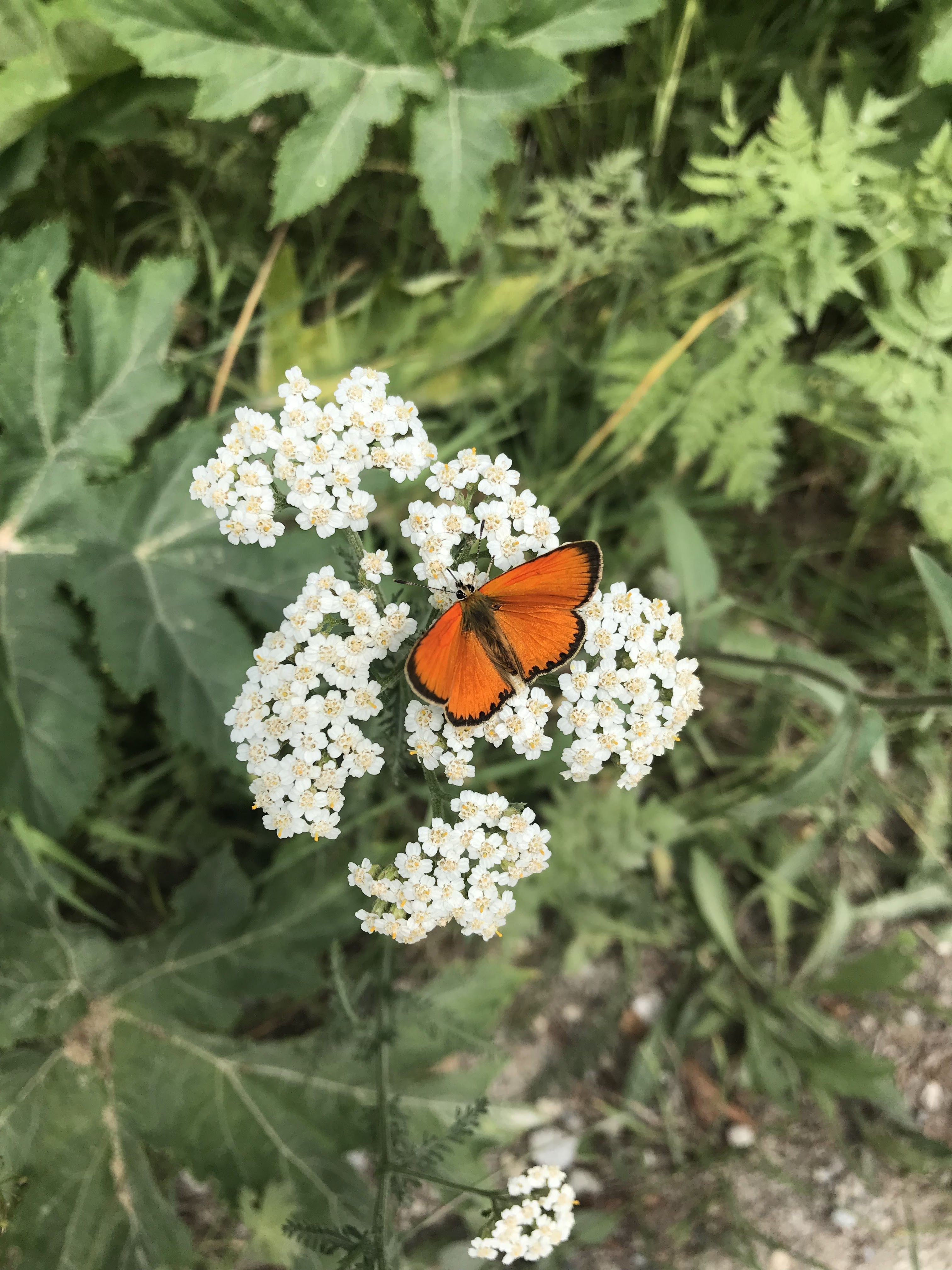 Photo n° 4 de l'avis de Bert.o fait le 21/07/2019 à 16:25