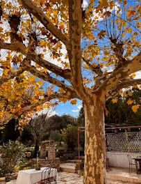 Photos du propriétaire du Restaurant La Guinguette des Garrigues à Caveirac - n°3