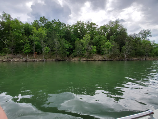 Marina «Mitchell Creek Marina», reviews and photos, 1260 Livingston Boat Dock Rd, Allons, TN 38541, USA