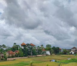 Paon_Adua Ubud photo